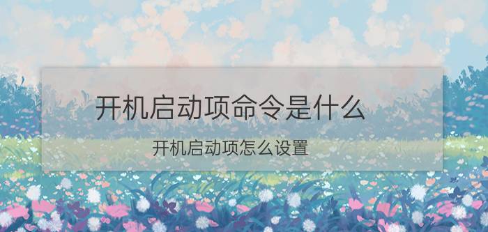 开机启动项命令是什么 开机启动项怎么设置